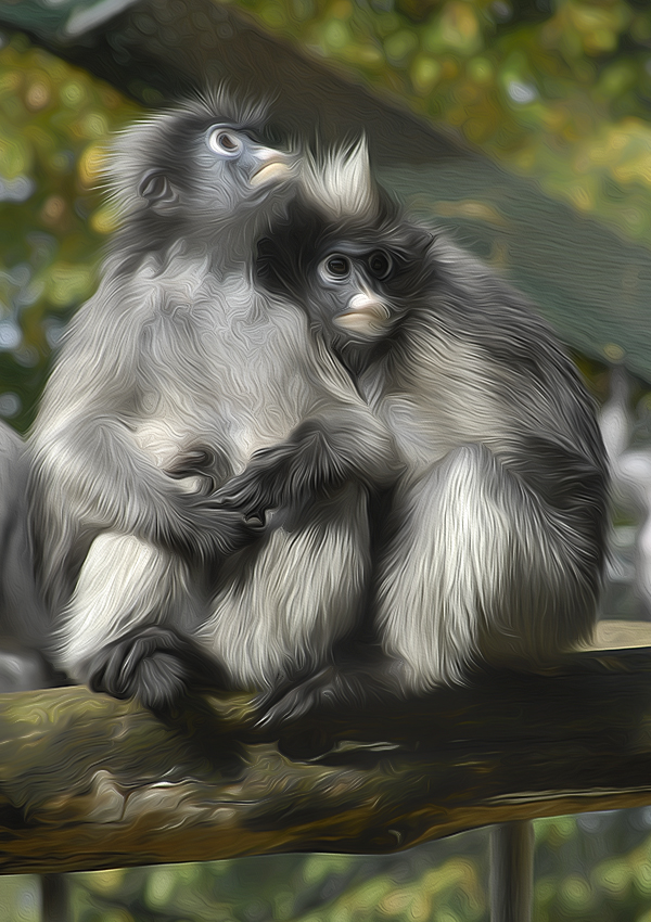 001 Tiere Zoo wuppertal  DDB_5466-1 Kopie.jpg